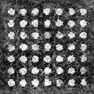 Obra de Antonio Camba — serie Estados Embrionarios