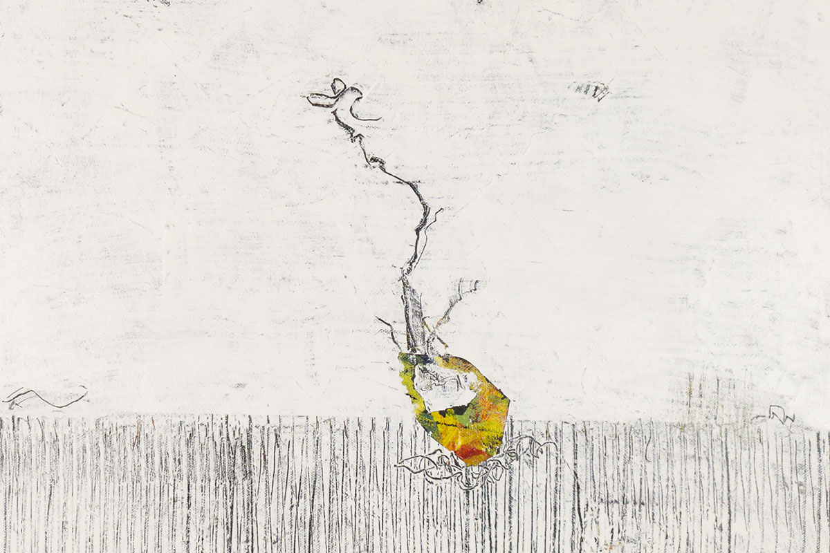 Obra de la serie Semillas de Antonio Camba